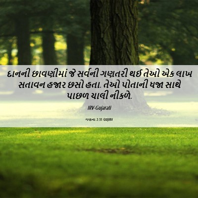 Picture 06 - ગણના 2:31 GUJIRV - દાનની છાવણીમાં જે - Bible Verse Picture