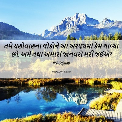 Picture 06 - ગણના 20:4 GUJIRV - તમે યહોવાહના - Bible Verse Picture