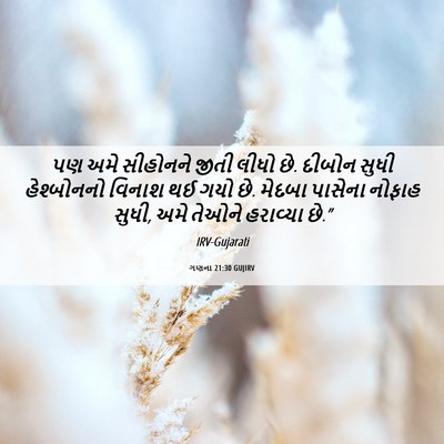 Picture 06 - ગણના 21:30 GUJIRV - પણ અમે સીહોનને - Bible Verse Picture
