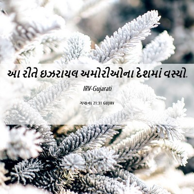 Picture 06 - ગણના 21:31 GUJIRV - આ રીતે ઇઝરાયલ - Bible Verse Picture