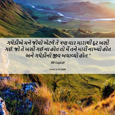 Picture 06 - ગણના 22:33 GUJIRV - ગધેડીએ મને જોયો - Bible Verse Picture