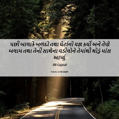 Picture 06 - ગણના 22:40 GUJIRV - પછી બાલાકે બળદો - Bible Verse Picture