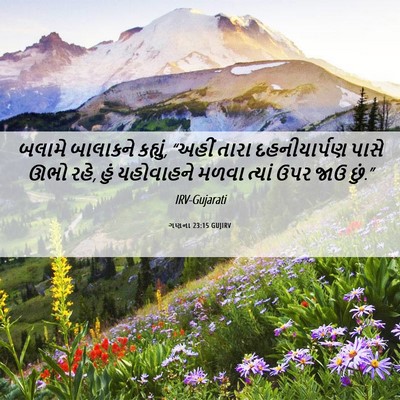 Picture 06 - ગણના 23:15 GUJIRV - બલામે બાલાકને - Bible Verse Picture