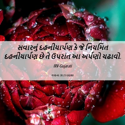 Picture 06 - ગણના 28:23 GUJIRV - સવારનું - Bible Verse Picture