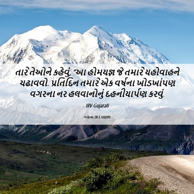 Picture 06 - ગણના 28:3 GUJIRV - તારે તેઓને કહેવું, - Bible Verse Picture