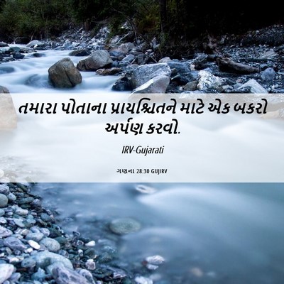 Picture 06 - ગણના 28:30 GUJIRV - તમારા પોતાના - Bible Verse Picture