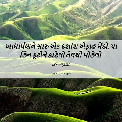 Picture 06 - ગણના 28:5 GUJIRV - ખાદ્યાર્પણને સારુ - Bible Verse Picture