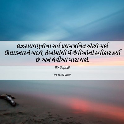 Picture 06 - ગણના 3:12 GUJIRV - ઇઝરાયલપુત્રોના - Bible Verse Picture