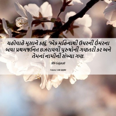 Picture 06 - ગણના 3:40 GUJIRV - યહોવાહે મૂસાને - Bible Verse Picture