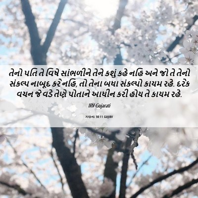 Picture 06 - ગણના 30:11 GUJIRV - તેનો પતિ તે વિષે - Bible Verse Picture