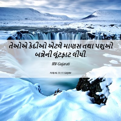 Picture 06 - ગણના 31:11 GUJIRV - તેઓએ કેદીઓ એટલે - Bible Verse Picture