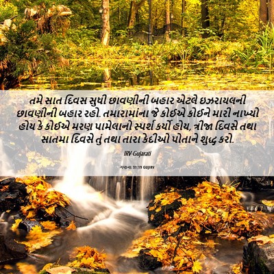 Picture 06 - ગણના 31:19 GUJIRV - તમે સાત દિવસ સુધી - Bible Verse Picture