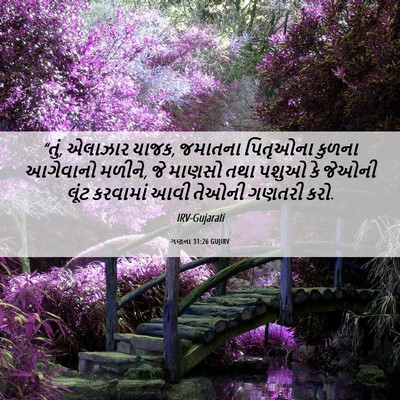Picture 06 - ગણના 31:26 GUJIRV - “તું, એલાઝાર યાજક, - Bible Verse Picture
