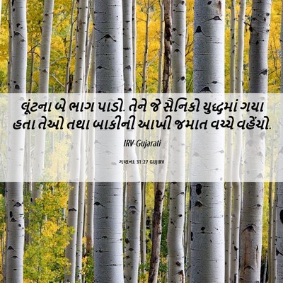 Picture 06 - ગણના 31:27 GUJIRV - લૂંટના બે ભાગ પાડો. - Bible Verse Picture