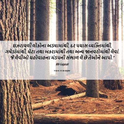 Picture 06 - ગણના 31:30 GUJIRV - ઇઝરાયલી લોકોના - Bible Verse Picture