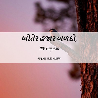 Picture 06 - ગણના 31:33 GUJIRV - બોતેર હજાર - Bible Verse Picture