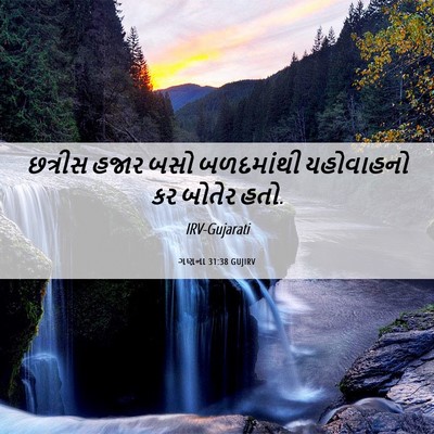 Picture 06 - ગણના 31:38 GUJIRV - છત્રીસ હજાર બસો - Bible Verse Picture