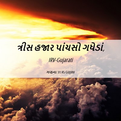 Picture 06 - ગણના 31:45 GUJIRV - ત્રીસ હજાર પાંચસો - Bible Verse Picture
