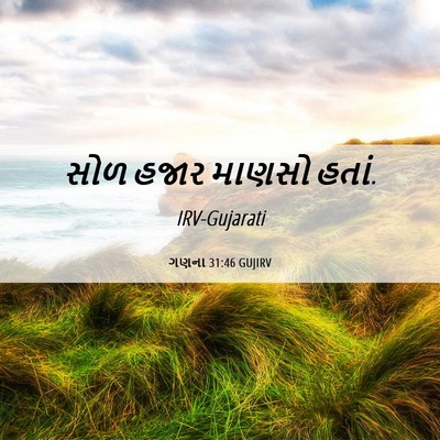 Picture 06 - ગણના 31:46 GUJIRV - સોળ હજાર માણસો - Bible Verse Picture