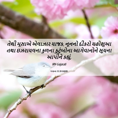 Picture 06 - ગણના 32:28 GUJIRV - તેથી મૂસાએ એલાઝાર - Bible Verse Picture