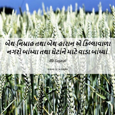 Picture 06 - ગણના 32:36 GUJIRV - બેથ-નિમ્રાહ તથા - Bible Verse Picture