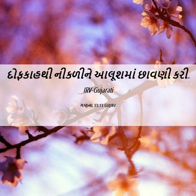 Picture 06 - ગણના 33:13 GUJIRV - દોફકાહથી નીકળીને - Bible Verse Picture