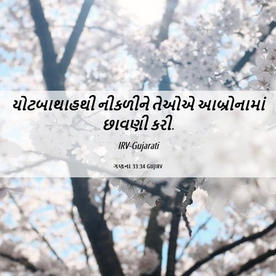 Picture 06 - ગણના 33:34 GUJIRV - યોટબાથાહથી - Bible Verse Picture