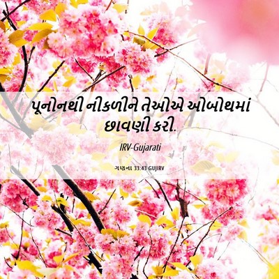 Picture 06 - ગણના 33:43 GUJIRV - પૂનોનથી નીકળીને - Bible Verse Picture