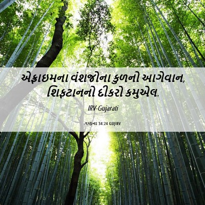 Picture 06 - ગણના 34:24 GUJIRV - એફ્રાઇમના વંશજોના - Bible Verse Picture