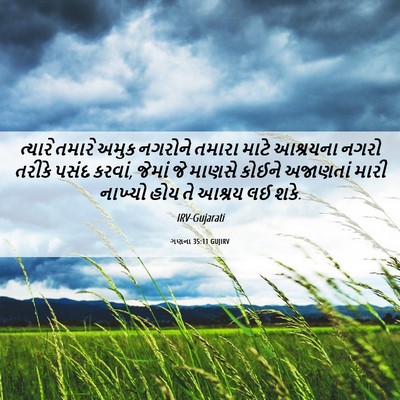 Picture 06 - ગણના 35:11 GUJIRV - ત્યારે તમારે અમુક - Bible Verse Picture