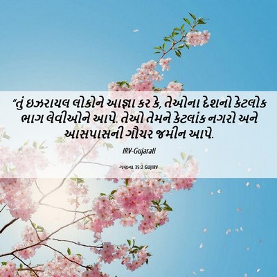 Picture 06 - ગણના 35:2 GUJIRV - “તું ઇઝરાયલ - Bible Verse Picture