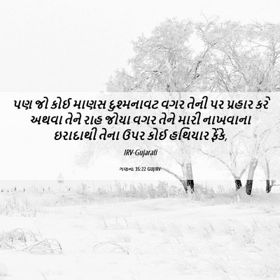 Picture 06 - ગણના 35:22 GUJIRV - પણ જો કોઈ માણસ - Bible Verse Picture