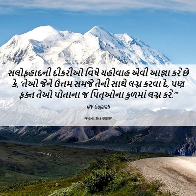Picture 06 - ગણના 36:6 GUJIRV - સલોફહાદની દીકરીઓ - Bible Verse Picture