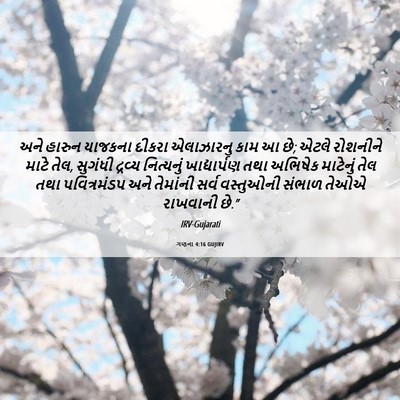 Picture 06 - ગણના 4:16 GUJIRV - અને હારુન યાજકના - Bible Verse Picture