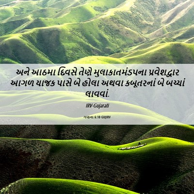 Picture 06 - ગણના 6:10 GUJIRV - અને આઠમા દિવસે - Bible Verse Picture