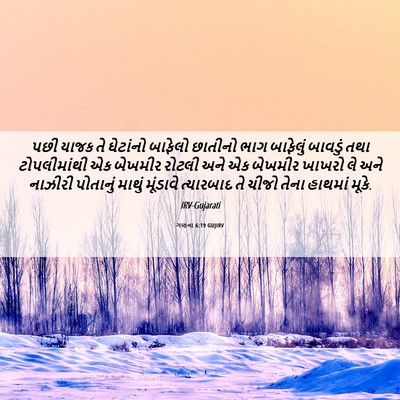 Picture 06 - ગણના 6:19 GUJIRV - પછી યાજક તે - Bible Verse Picture