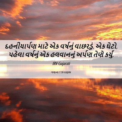 Picture 06 - ગણના 7:39 GUJIRV - દહનીયાર્પણ માટે - Bible Verse Picture