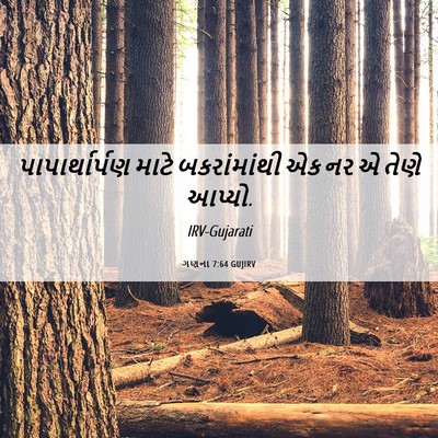 Picture 06 - ગણના 7:64 GUJIRV - પાપાર્થાર્પણ માટે - Bible Verse Picture