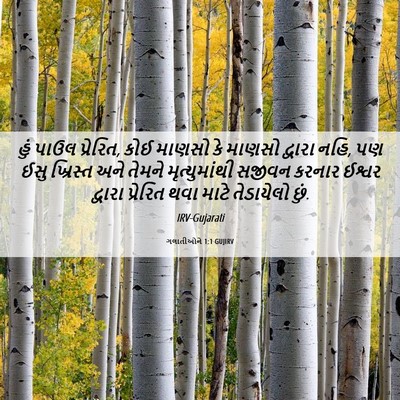 Picture 06 - ગલાતીઓને 1:1 GUJIRV - હું પાઉલ પ્રેરિત, - Bible Verse Picture