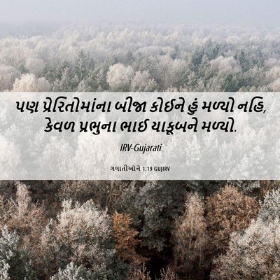 Picture 06 - ગલાતીઓને 1:19 GUJIRV - પણ પ્રેરિતોમાંના - Bible Verse Picture
