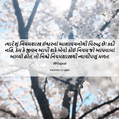 Picture 06 - ગલાતીઓને 3:21 GUJIRV - ત્યારે શું - Bible Verse Picture
