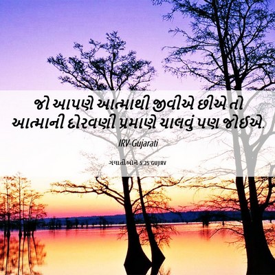 Picture 06 - ગલાતીઓને 5:25 GUJIRV - જો આપણે આત્માથી - Bible Verse Picture