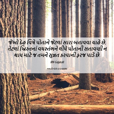 Picture 06 - ગલાતીઓને 6:12 GUJIRV - જેઓ દેહ વિષે - Bible Verse Picture