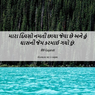 Picture 06 - ગીતશાસ્ત્ર 102:11 GUJIRV - મારા દિવસો નમતી - Bible Verse Picture