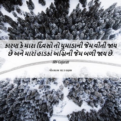 Picture 06 - ગીતશાસ્ત્ર 102:3 GUJIRV - કારણ કે મારા દિવસો - Bible Verse Picture