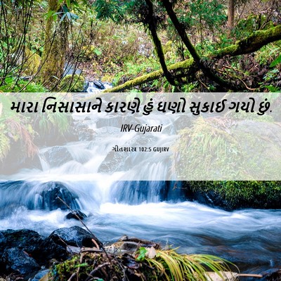 Picture 06 - ગીતશાસ્ત્ર 102:5 GUJIRV - મારા નિસાસાને - Bible Verse Picture
