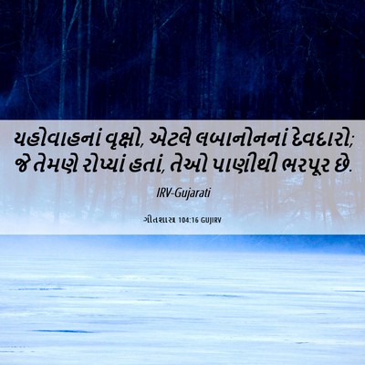Picture 06 - ગીતશાસ્ત્ર 104:16 GUJIRV - યહોવાહનાં વૃક્ષો, - Bible Verse Picture