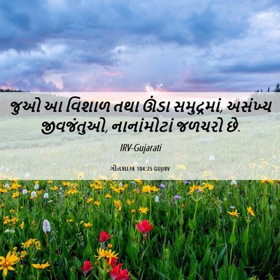 Picture 06 - ગીતશાસ્ત્ર 104:25 GUJIRV - જુઓ આ વિશાળ તથા - Bible Verse Picture