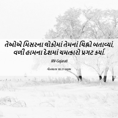Picture 06 - ગીતશાસ્ત્ર 105:27 GUJIRV - તેઓએ મિસરના - Bible Verse Picture