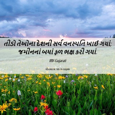 Picture 06 - ગીતશાસ્ત્ર 105:35 GUJIRV - તીડો તેઓના દેશની - Bible Verse Picture
